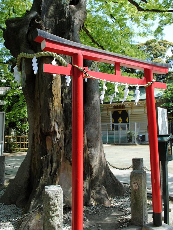 新田神社